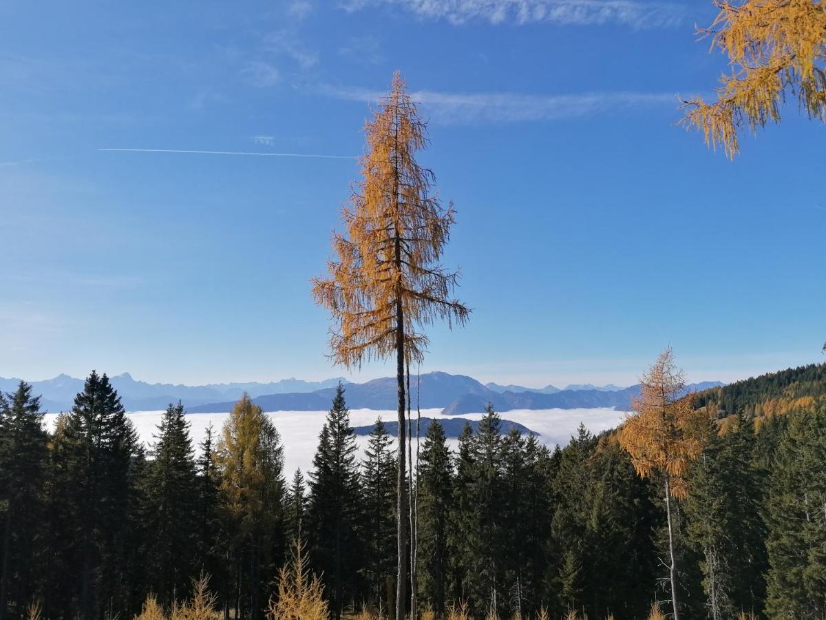 Gerlitzen Ferienappartement Paul Im Ski- Und Wandergebiet, Kanzelhoehe, Ossiacher See Deutschberg Kültér fotó